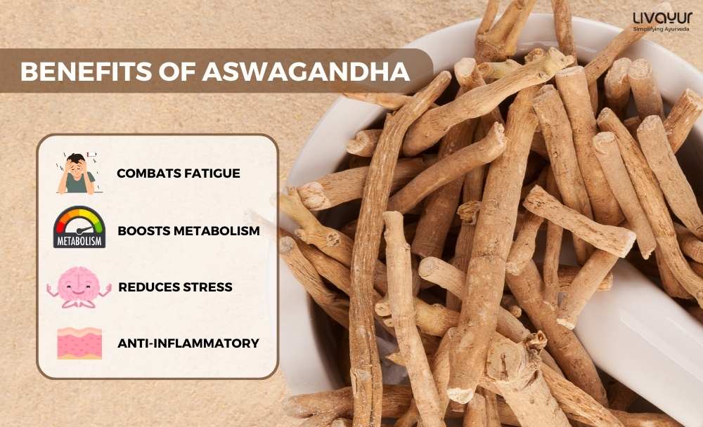 Ashwagandha can Help with Insomnia