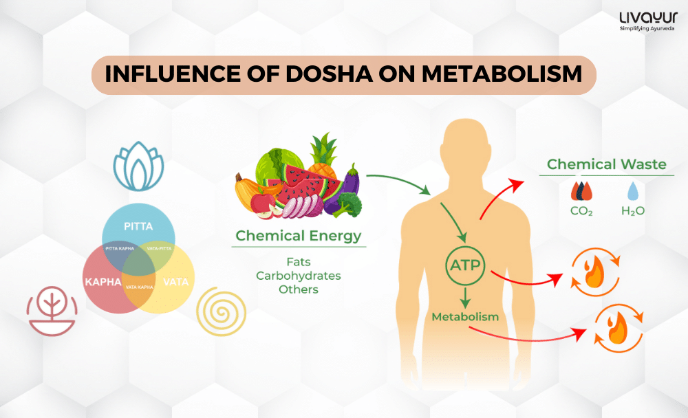 Can Dosha Improve Metabolism 1