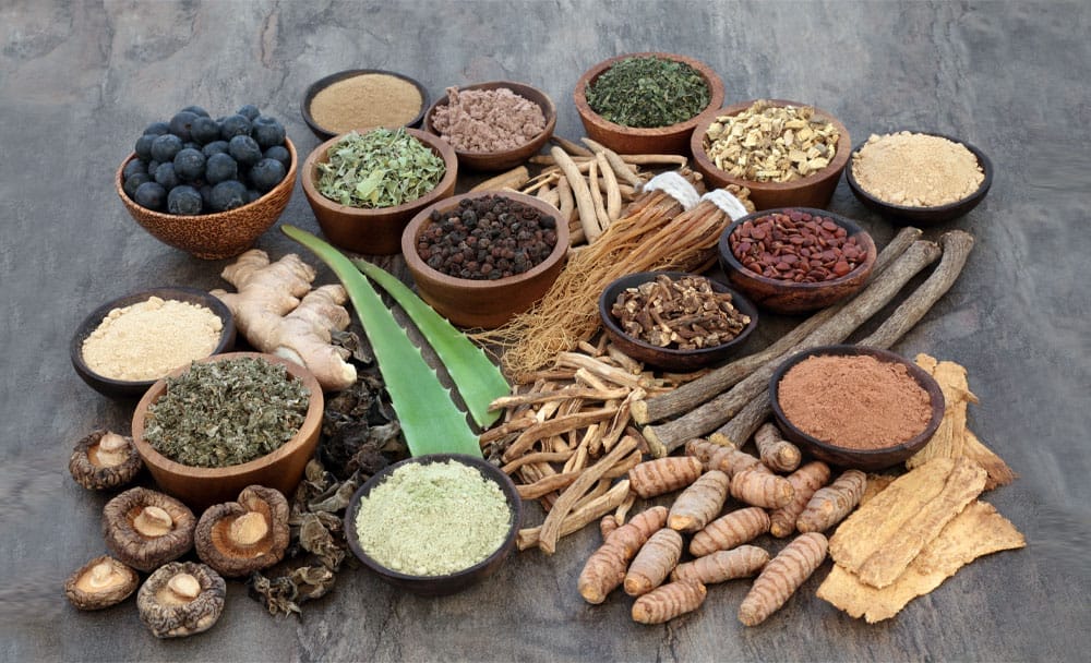 Ayurvedic Herbs That Promote Sexual Health