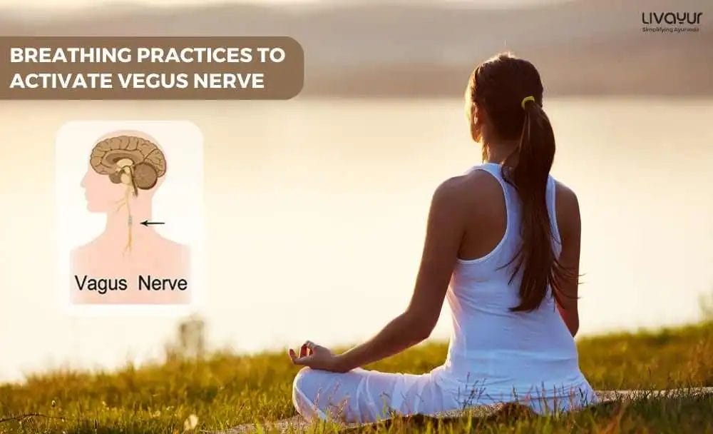 Breathing Practice to Activate your Vagus Nerve