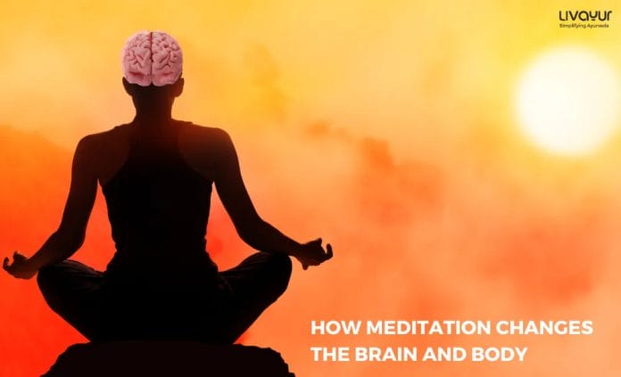 How Meditation Changes the Brain and Body 11zon