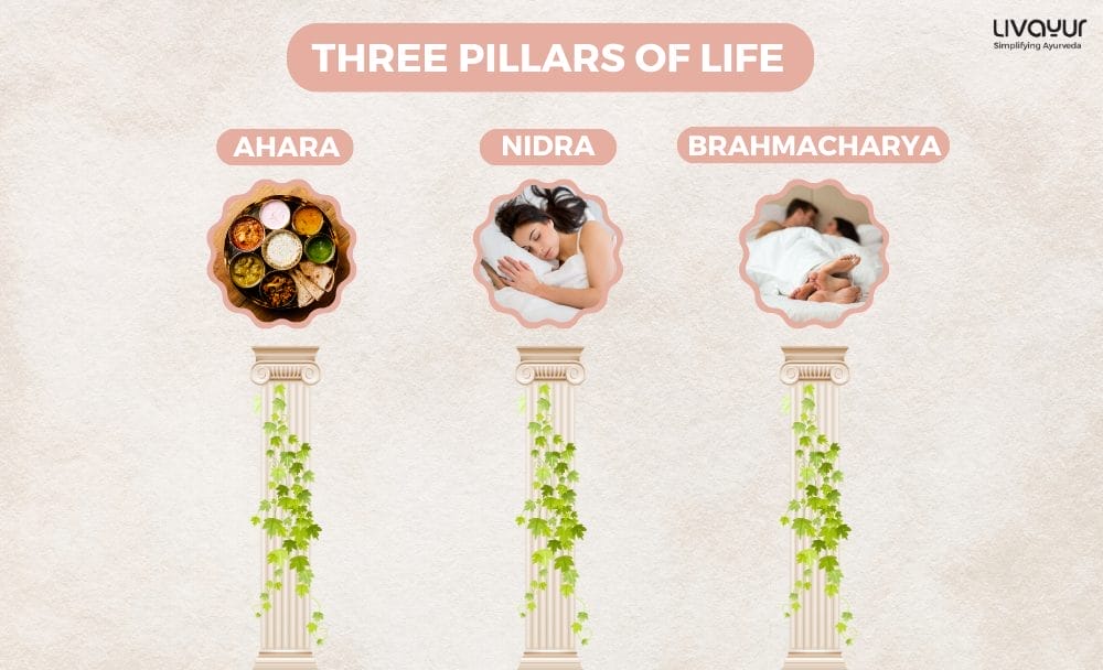 Three Pillars of Life According to Ayurveda