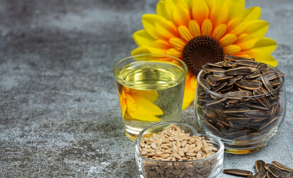 Benefits of Sunflower Seeds