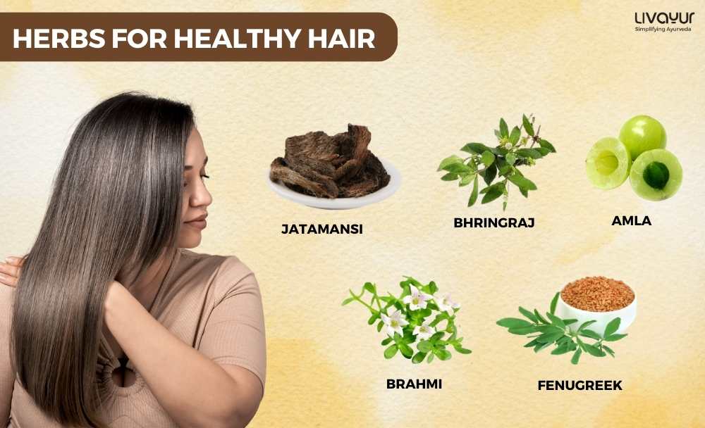 5 Proven Ayurveda Herbs That Are Great For Hair Growth