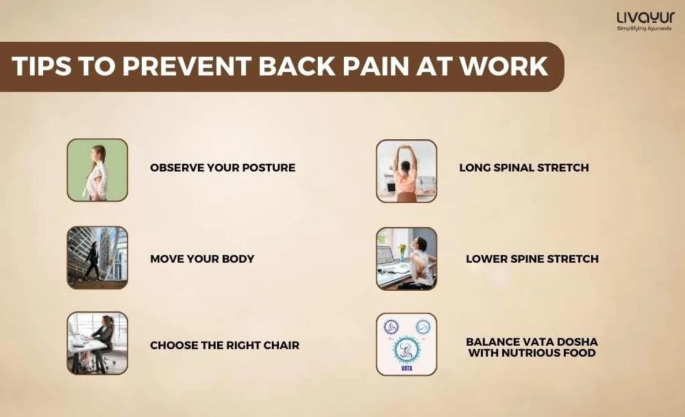 Back Pain at Work Causes Factors and How to Prevent Back Pain 1