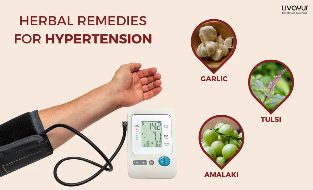 Herbal Remedies to Control Hypertension
