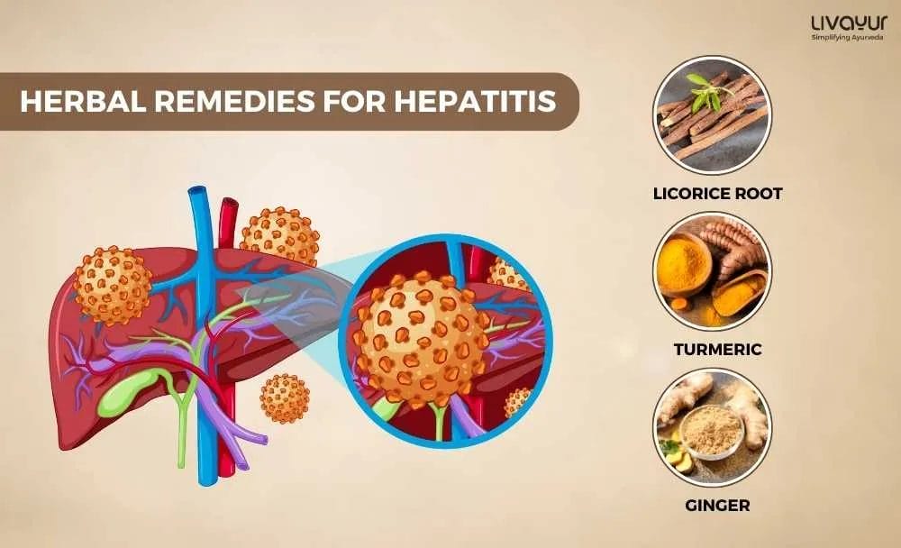 Hepatitis Definition Symptoms Types Causes Treatment more 1 8 11zon