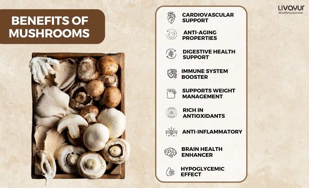 10 Health Benefits of Mushroom 1