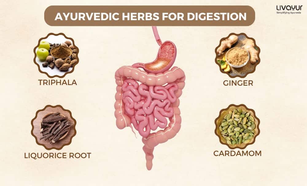 Ayurvedic herbs to aid digestion