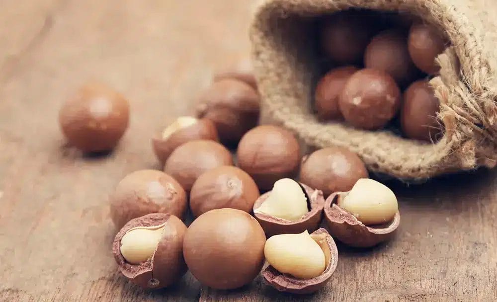 macadamia nuts benefits - livayur