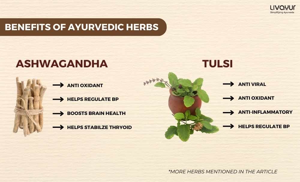 Ayurvedic Herbs with Science Backed Benefits 3