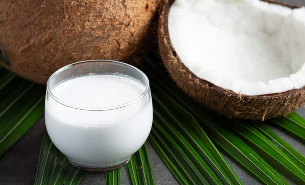 coconut milk - livayur