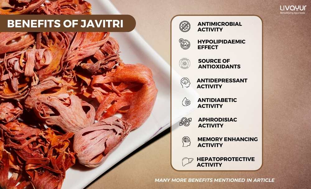 12 Amazing Health Benefits of Maze Spice Javitri
