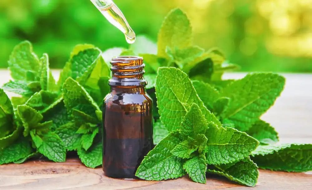 How To use peppermint oil