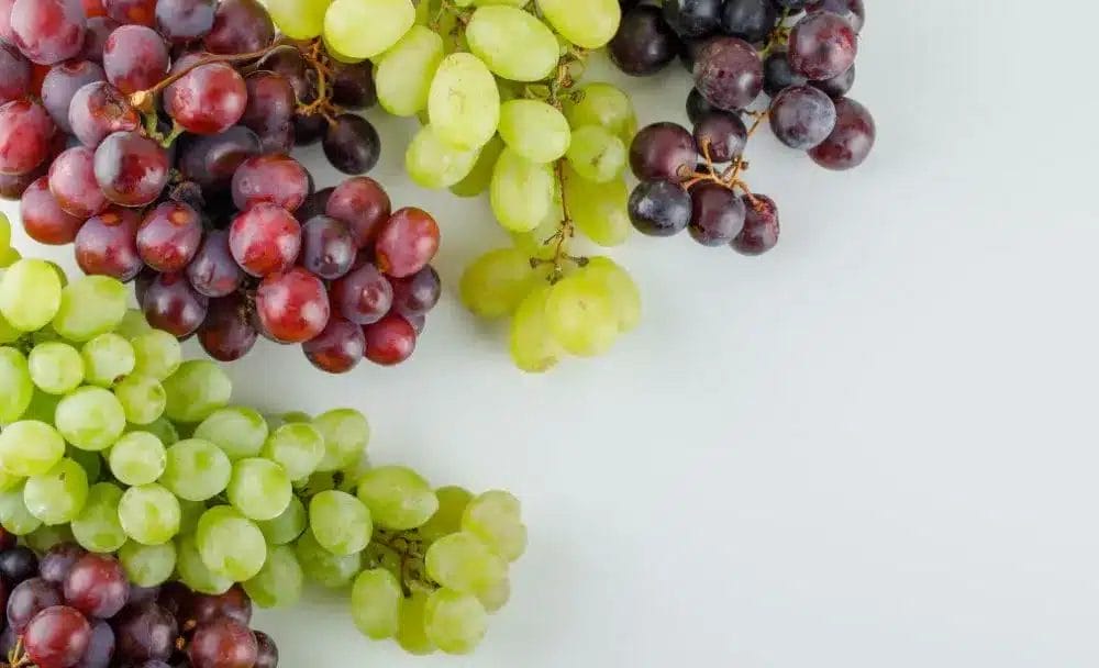 protection against oxidative damage - benefits of eating grapes
