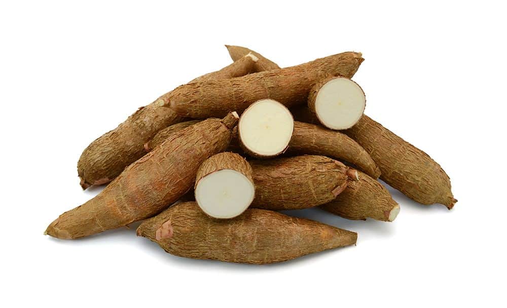cassava - livayur