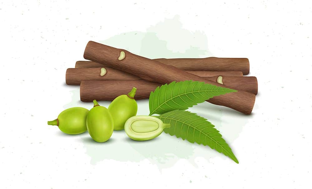 neem - fungal skin infection treatment