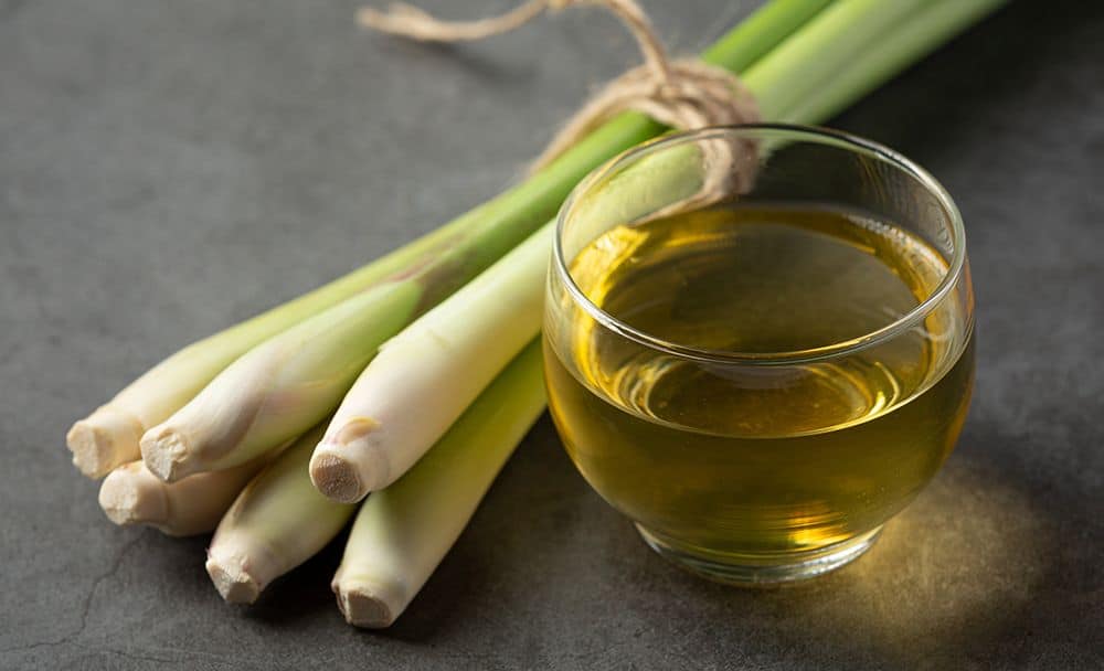 lemongrass oil - how to cure fungal infection on skin naturally