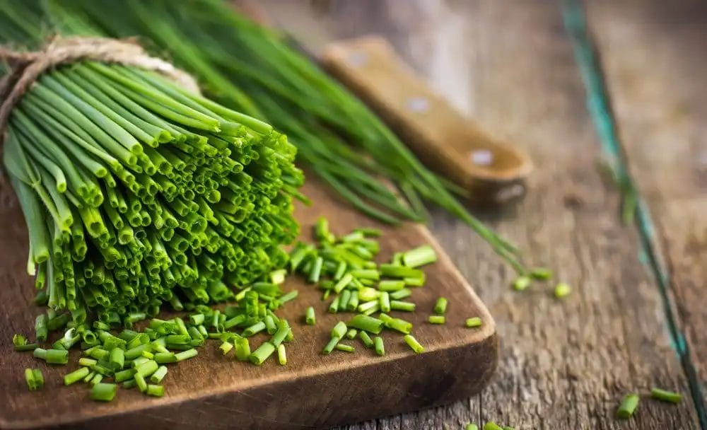 Chives Nutritional Value