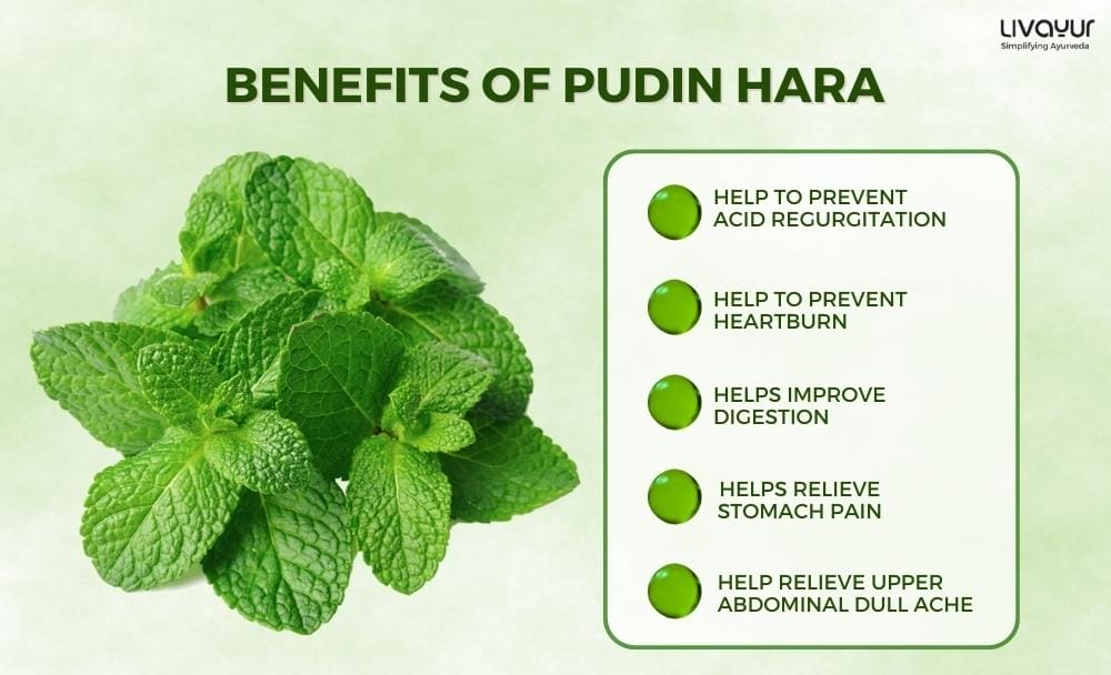 Uses of Pudin Hara
