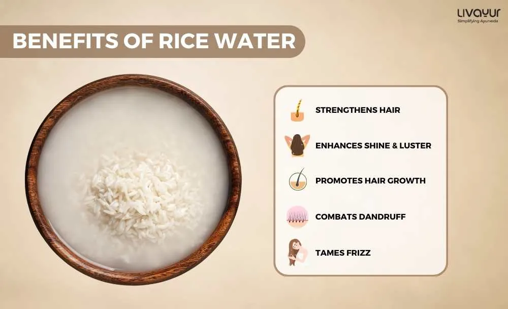 Rice Water for Hair 10 Benefits and How to Use it 1