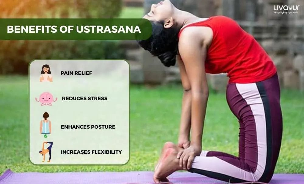 Camel Pose – Ustrasana,The posture improves core strength, spinal, hip and  shoulder flexibility and stamina – MyLifeMyStuff