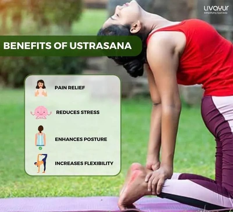 USTRASANA - The Camel Posture: Steps and Benefits - Patanjalee Institute of  Yoga & Yoga Therapy