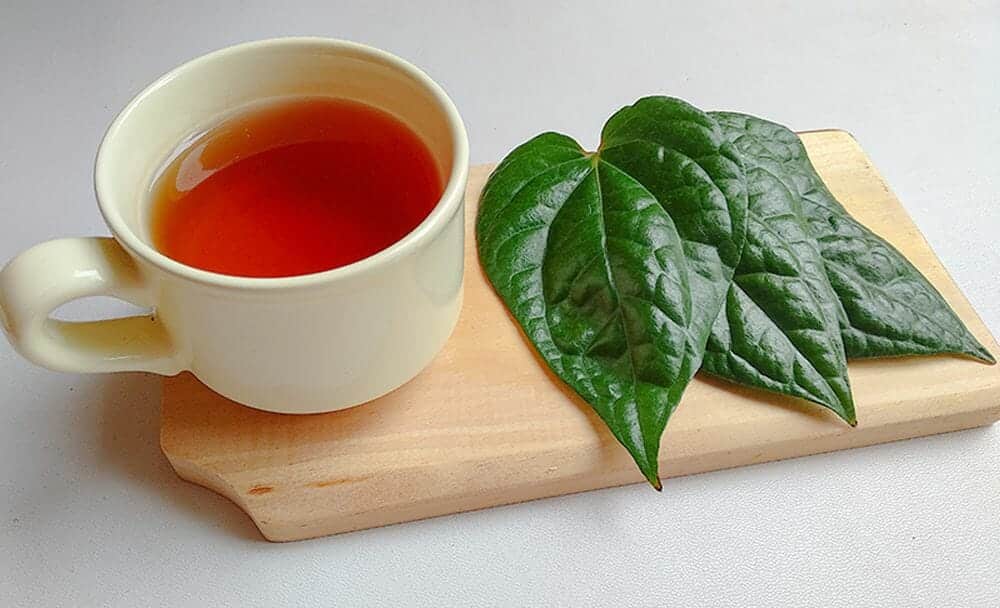 betel leaf tea - how to consume betel leaf