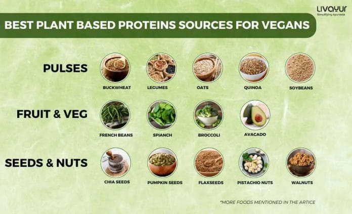 20 Best Plant Based Proteins Sources for Vegans 4 6 11zon