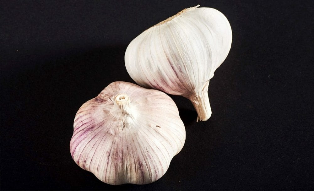 treat with garlic
