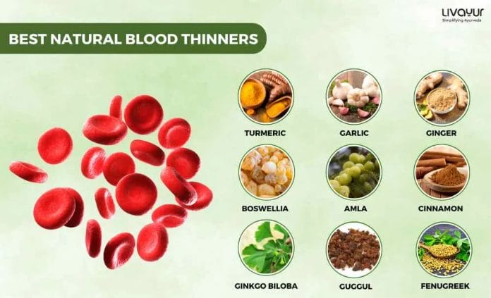15 Best Natural Blood Thinners Food and Supplements 1 19 11zon