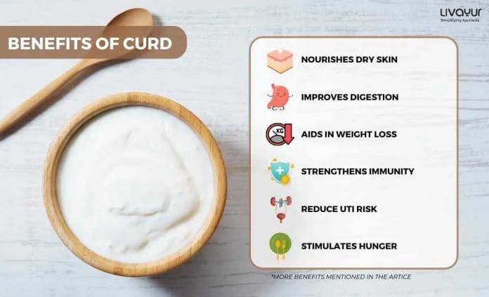 20 Proven Benefits of Curd for Overall Health 2 7 11zon