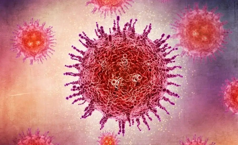 bacteria v/s viruses
