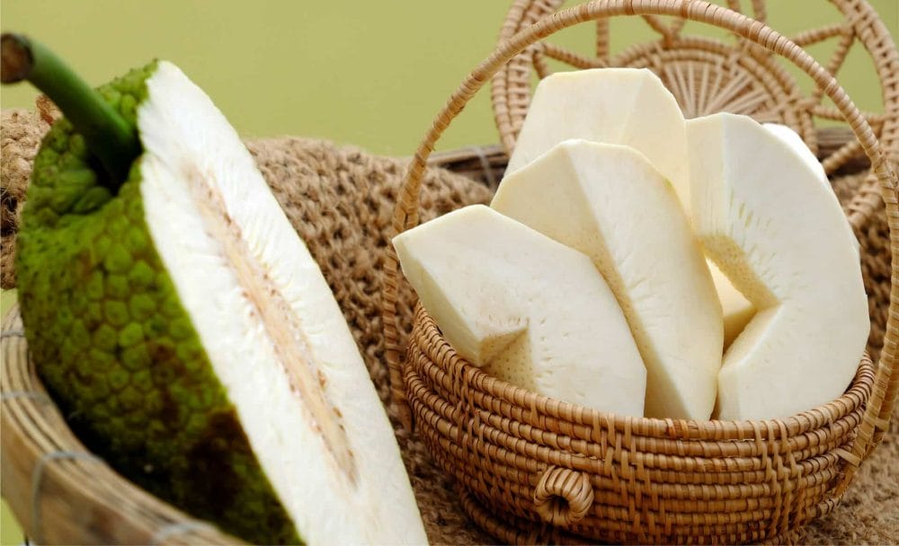 breadfruit benefits