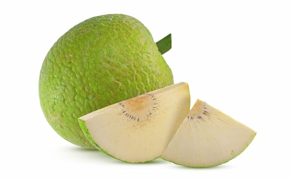 breadfruit recipes