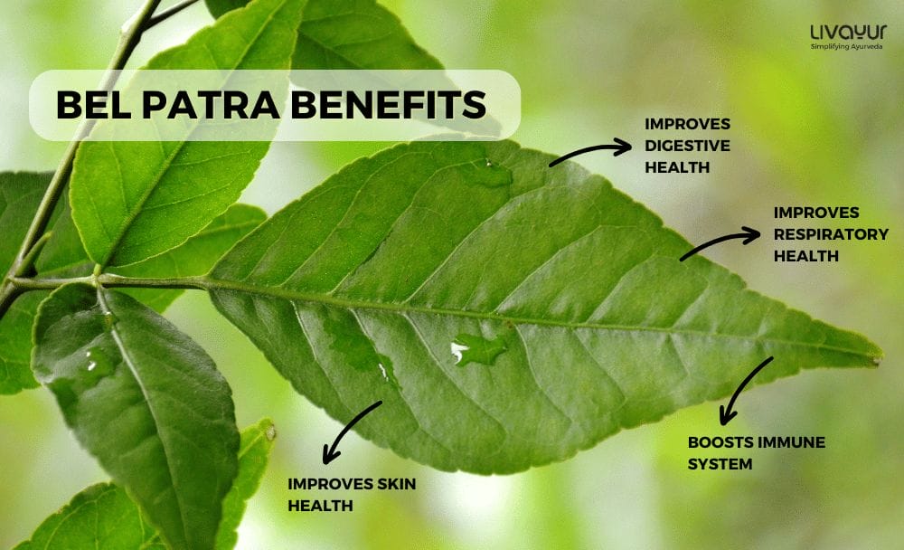 10 Bel Patra Benefits You Dont Know About