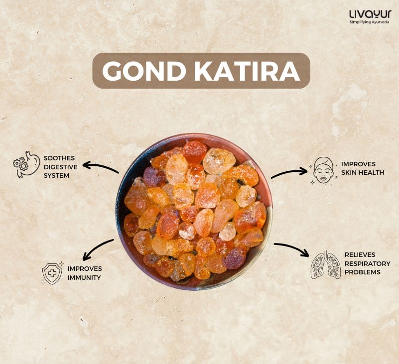 10 Incredible Benefits of Gond Katira & How to Use it
