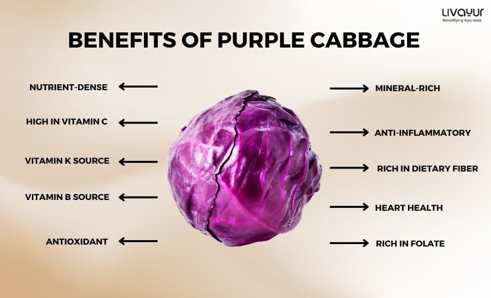 purple cabbage - livayur