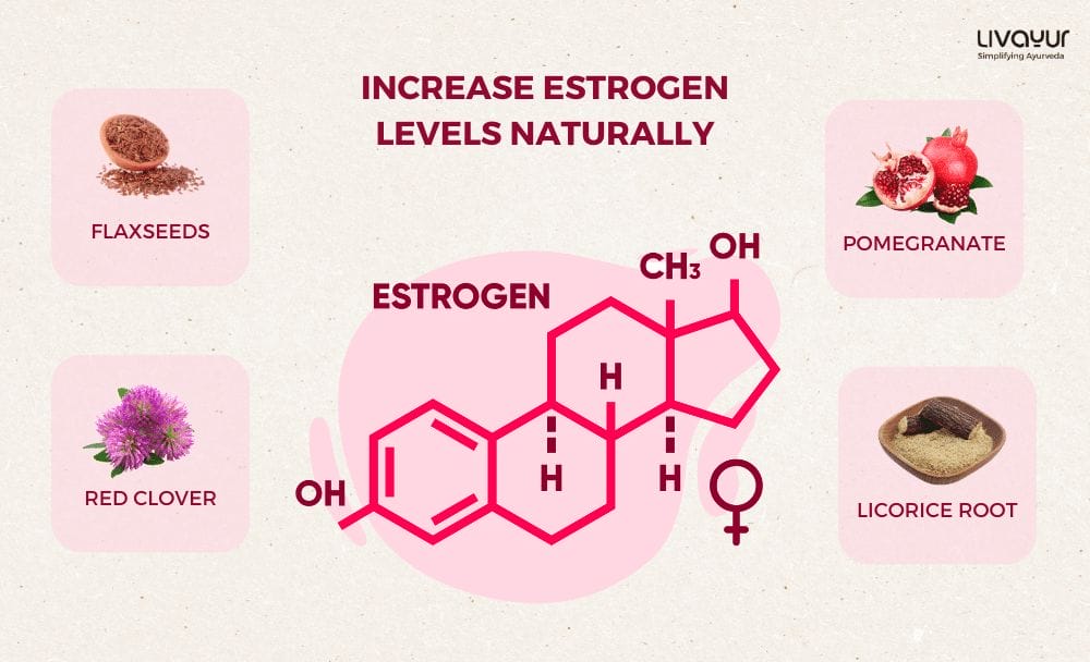 how to increase estrogen - livayur