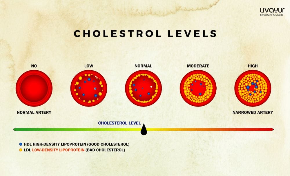 how to reduce cholesterol - livayur