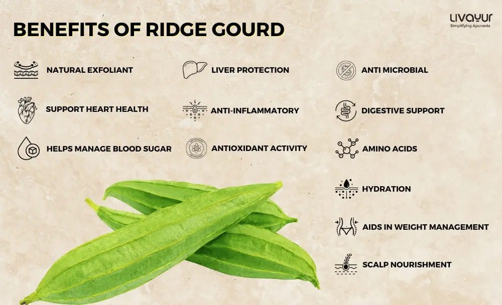 12 Amazing Benefits of Ridge Gourd How to use it