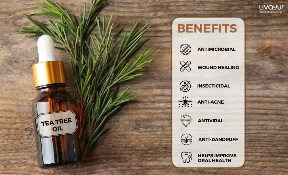 15 Benefits of Tea Tree Oil 5