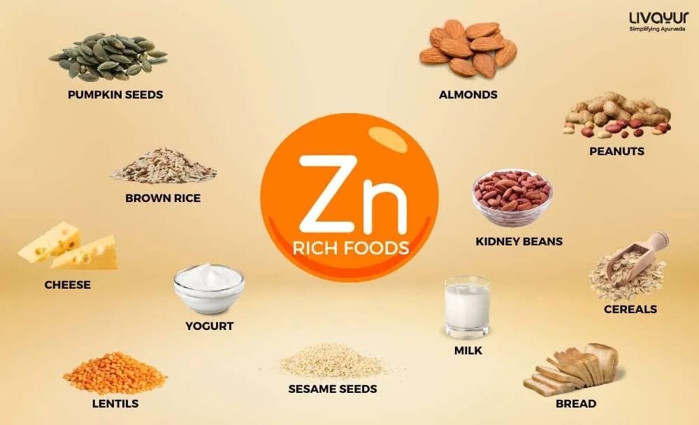 zinc rich foods - livayur