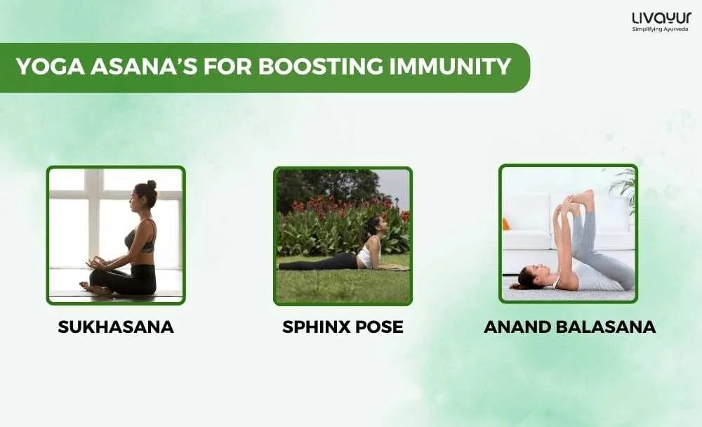 3 Best Yoga Asanas to Boost Your Immunity