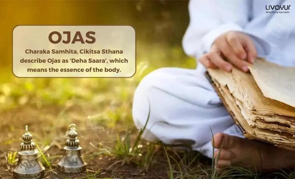 All You Need to Know About Ojas