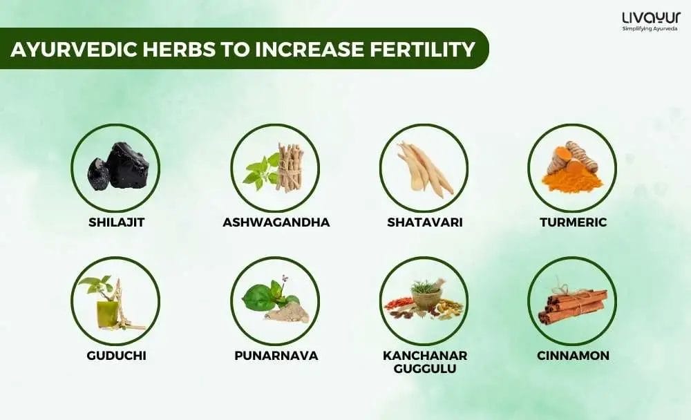 Herbs That Can Increase Fertility