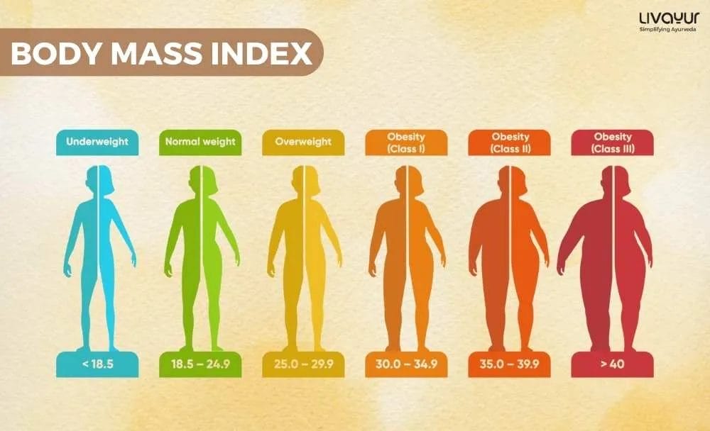 BMI Body Mass Index What Is BMI How To Calculate It