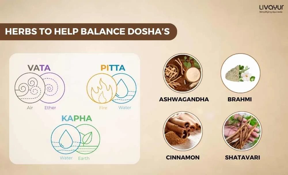 Easy Ways of Balancing Your Doshas