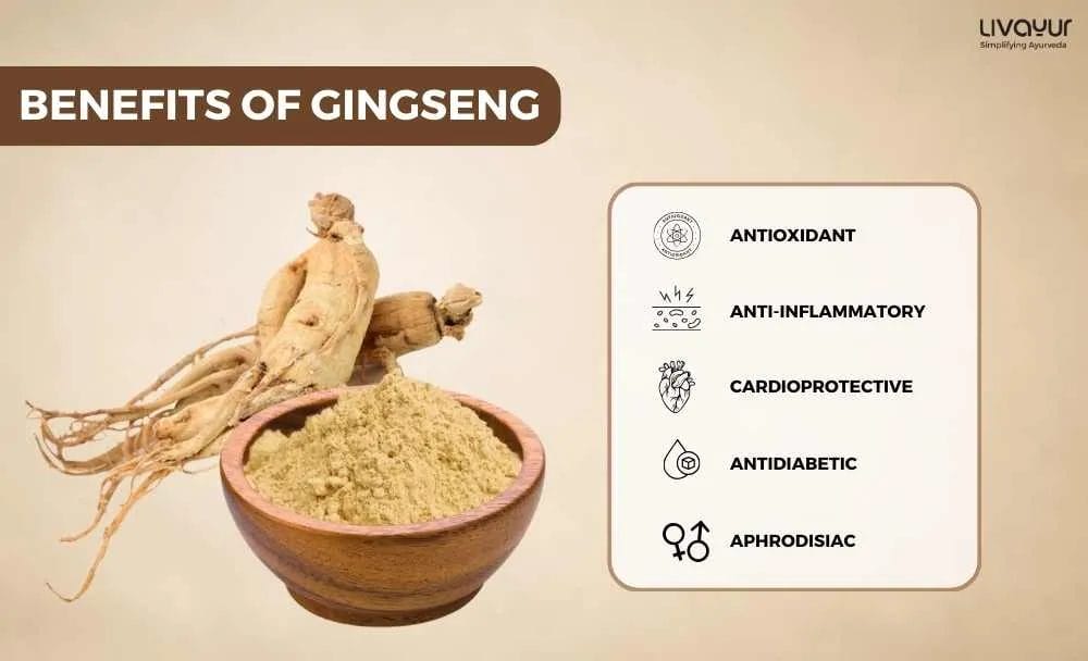 Ginseng Benefits Uses Dosage Side Effects More