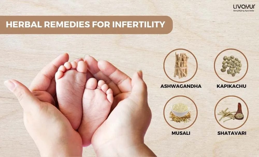 ayurvedic treatment for infertility